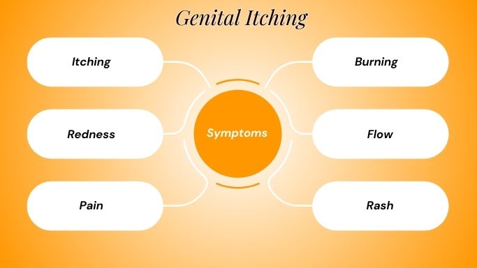 Genital Itching Symptoms