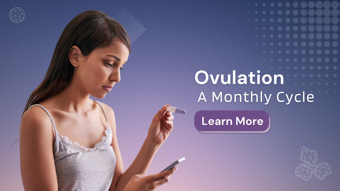 Ovulation: A Monthly Cycle