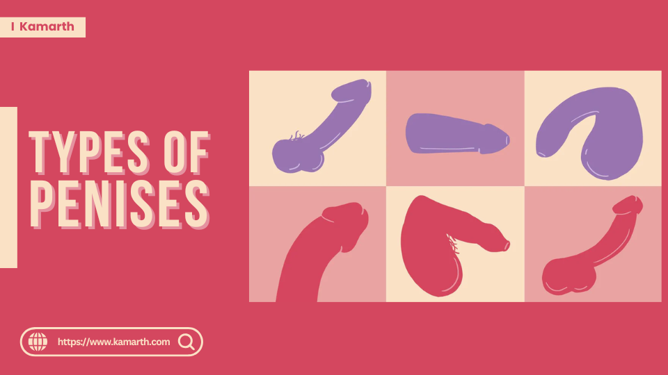 Types of penises